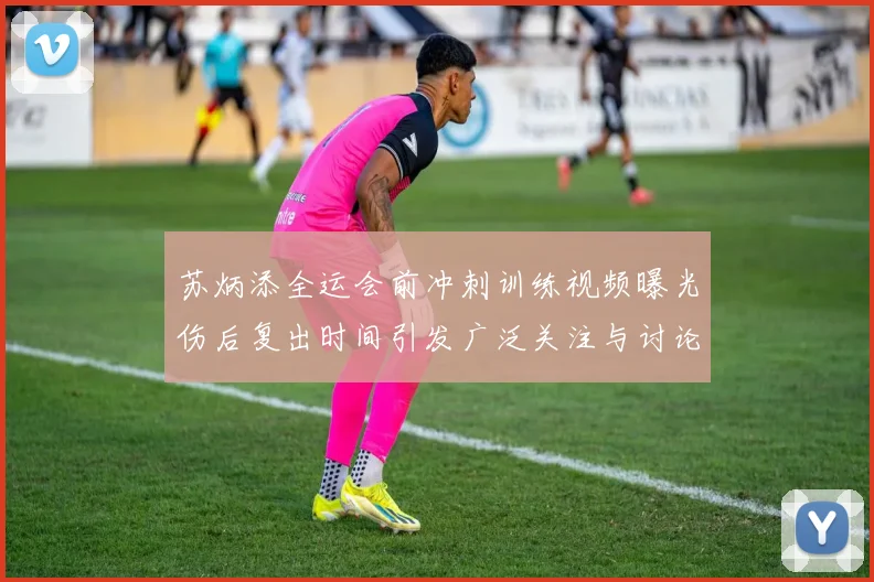 苏炳添全运会前冲刺训练视频曝光伤后复出时间引发广泛关注与讨论