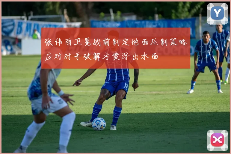 张伟丽卫冕战前制定地面压制策略应对对手破解方案浮出水面